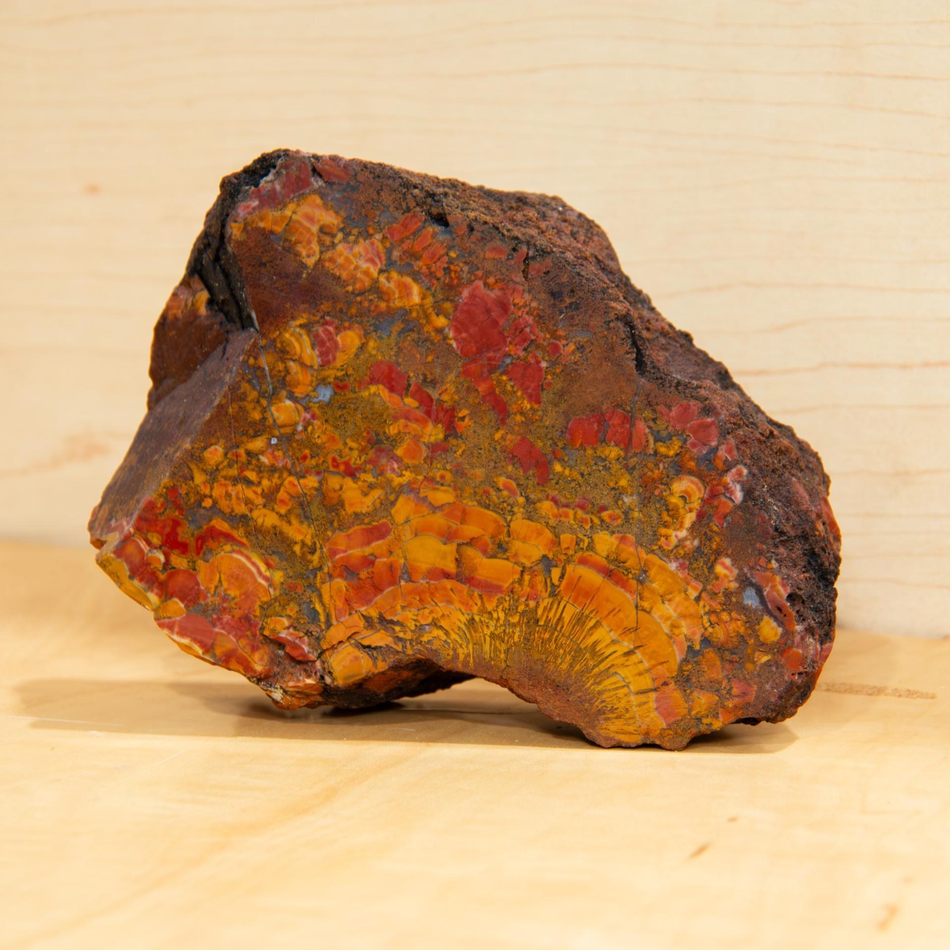 A rough stone with one face cut open, showing red, orange and gold patterning inside a dark rind.