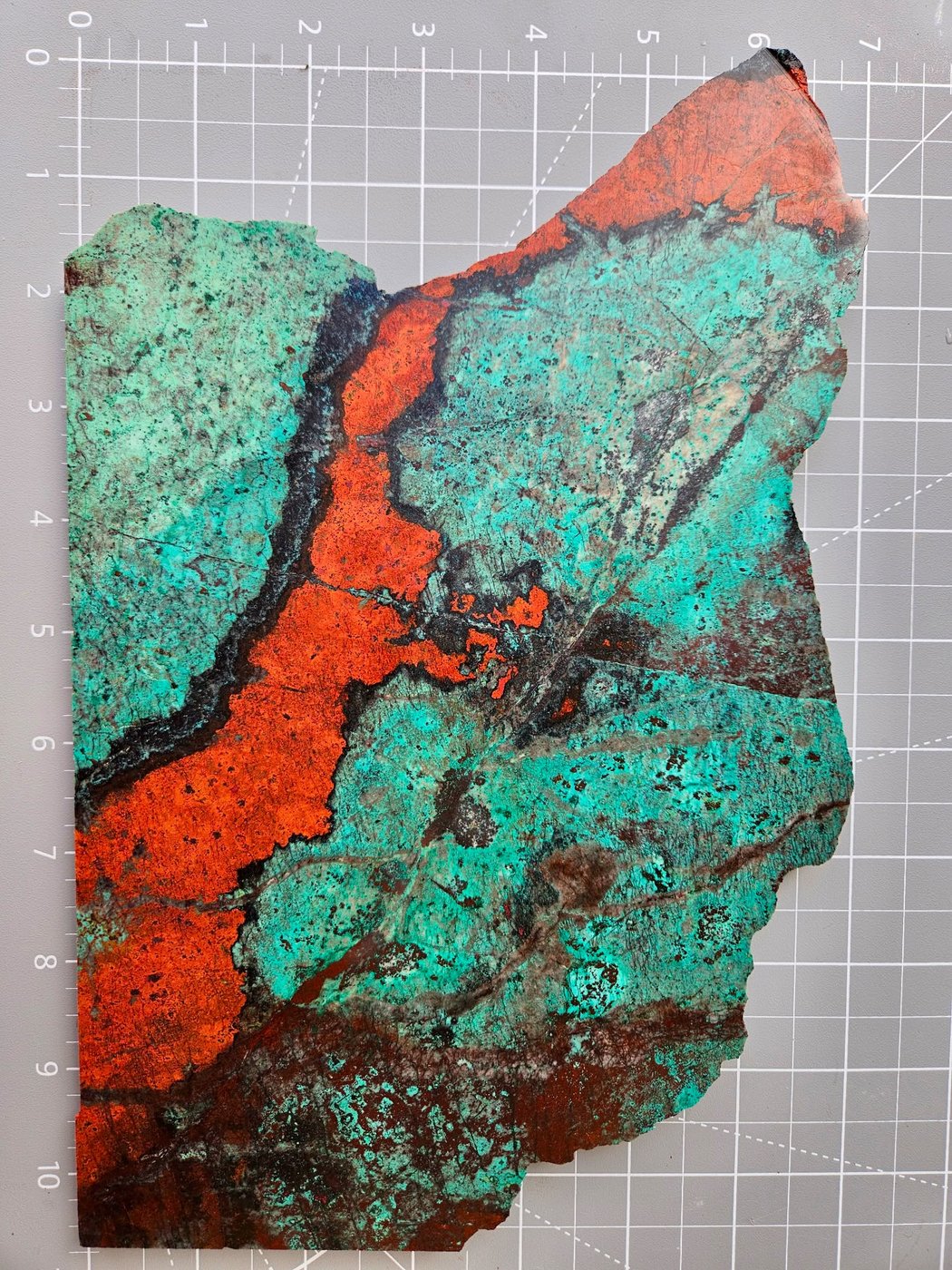 A Sonoran sunrise slab on the shop cutting mat, a band of orange red cuprite cutting through blue green chrysocolla, the mat ruler running up the left edge.